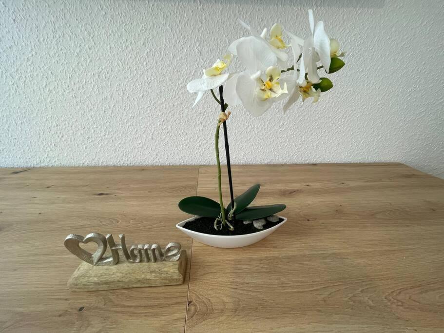 Lucky Stays Ls01 - Vollausstattung - Zentrum - Aufzug - Grosse Kueche - 2 Zimmer - Smart-Tv Magdeburgo Esterno foto